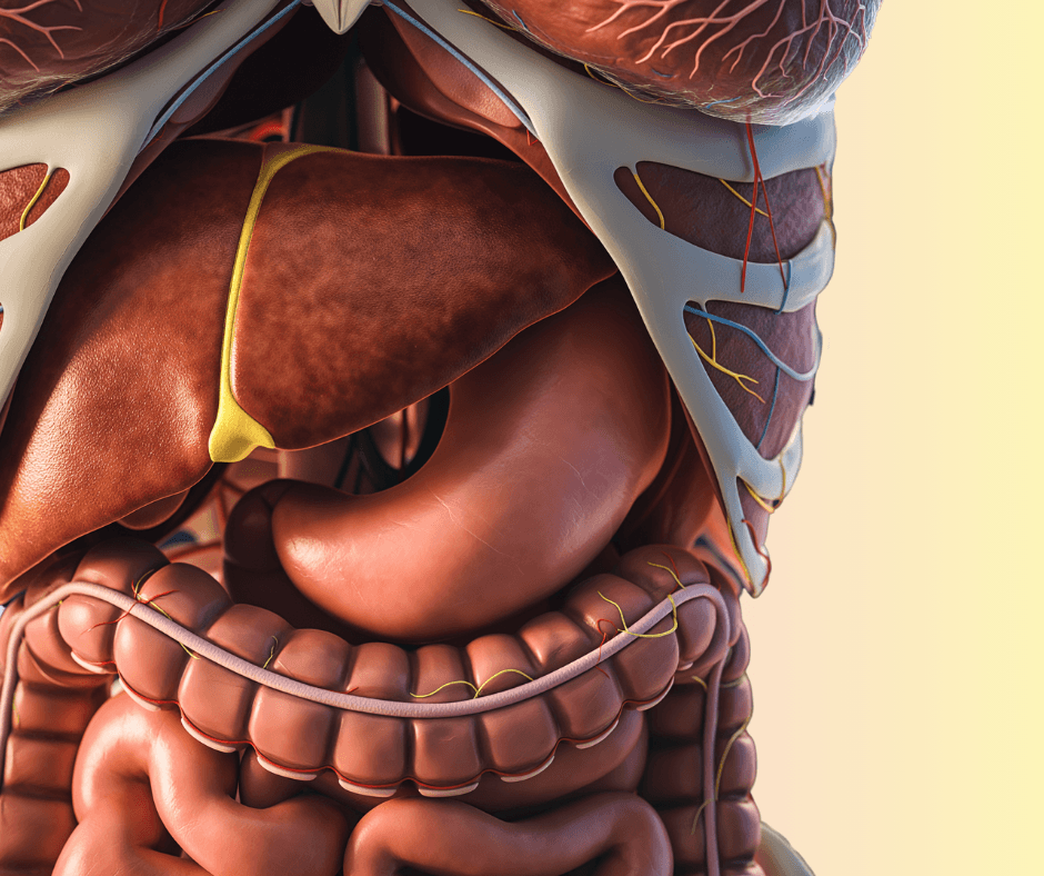 Fatty liver disease